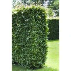 Startseite Umfassend -Startseite Umfassend 3855863 3358 2