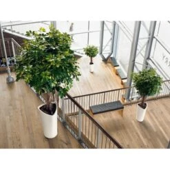 Lechuza Pflanzgefäß Delta Premium Ø 30 Cm X 56 Cm Weiß Hochglanz -Startseite Umfassend 4008789155009 4186 8