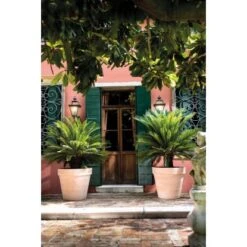 Deroma Pflanztopf Magno Ø 60 Cm White 7 Deroma Pflanztopf Magno Ø 60 Cm White -Startseite Umfassend 726232524137 3832 4