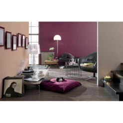 Alpina Farbrezepte Sandelholz Matt 2,5 L -Startseite Umfassend 812027 picture 2