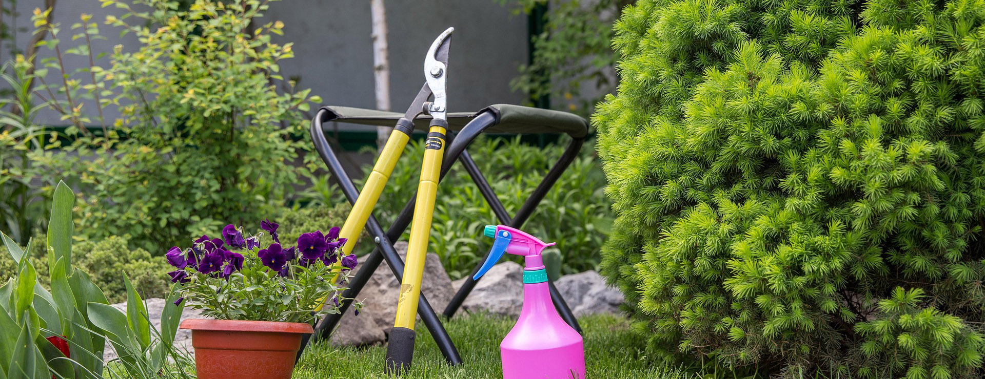 Startseite Umfassend 1 Startseite Umfassend -Startseite Umfassend gardening 6803875 1920