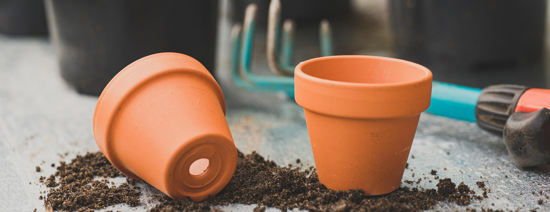 Startseite Umfassend 3 Startseite Umfassend -Startseite Umfassend pots 6520444 1920