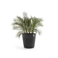 Ecopots Pflanztopf Amsterdam Rollen Dunkelgrau 100 Cm X 87,5 Cm -Startseite Umfassend terdamWheels100DarkGrey 01